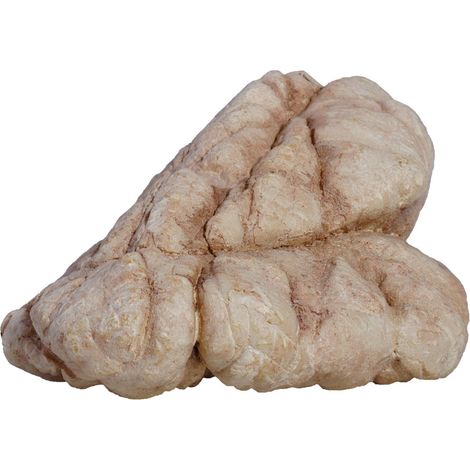 Hobby Sandstone Rock 5 - Dekoration für Aquarium und Terrarium (1/5)