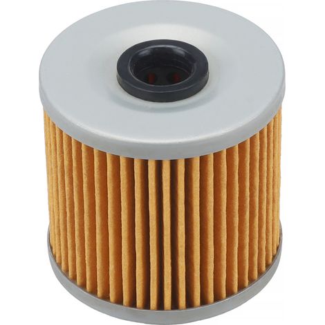 Filtre à huile 16099-004 compatible Kawasaki KLF250 Bayou 250, KL250 (1/5)