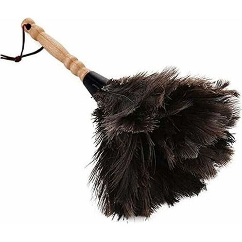 Plumeaux pour la maison et le bureau, plumes d'autruche, plumeaux d'autruche, plumes d'autruche naturelles..