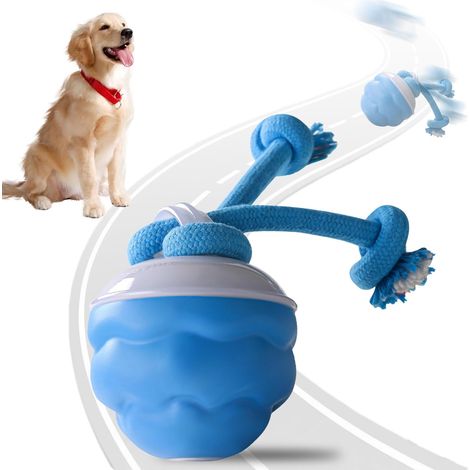 Jouets interactifs pour chiens, jouets pour animaux de compagnie émettant des sonorités, boules de sonorisation (1/5)