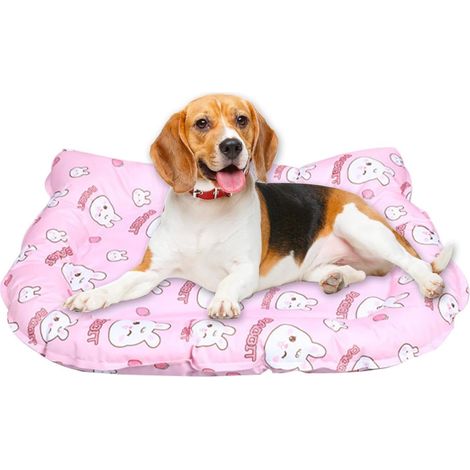 Refroidissement pour Chien - Couverture Glace imperméable en (1/5)