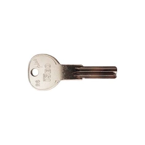 Chiave Grezza per Cilindri R6 Plus 020819 (020819) Iseo 5 Pezzi