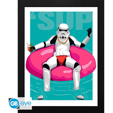 ORIGINAL STORMTROOPER - Framed print Pool Boy (30x40) x2
