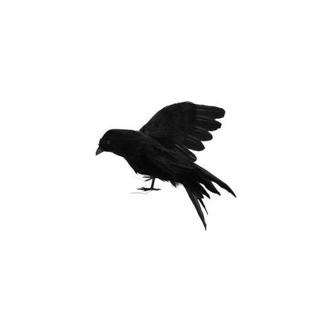 Halloween Black Crow, Realistic Handmade Thoughtful Handcrafted Prop Halloween Bird Crow Prop Indoor Outdoor Party Decoration (1/5)