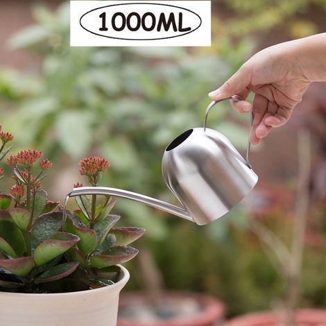 Arrosoir En Acier Inoxydable - Bec Long Pour Arrosage Précis - Pour Plantes Intérieures Et Extérieures - Capacité 1000 Ml (1/5)