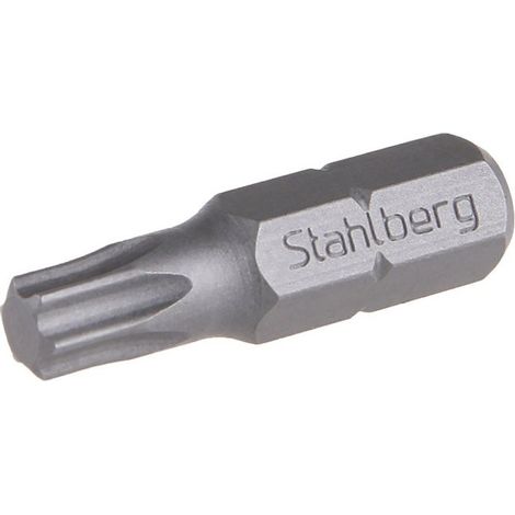 Punta LEVIOR STAHLBERG T 40 25mm S2 (2 pezzi) 18831A.01