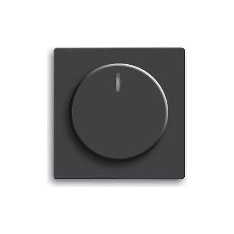 Busch-Jaeger Zentralscheibe sw mt für Drehdimmer 6540-885-102 (1/5)