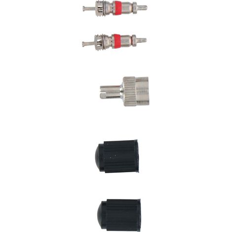Valves de vélo DUNLOP, 5 pièces