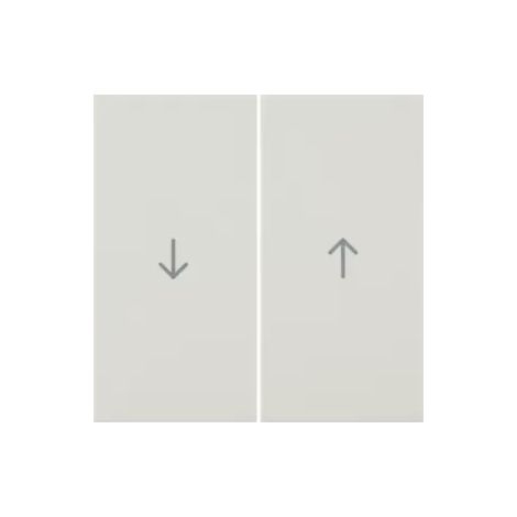 Berker Wippe ws/gl Symbol Pfeil 16258982 (1/2)