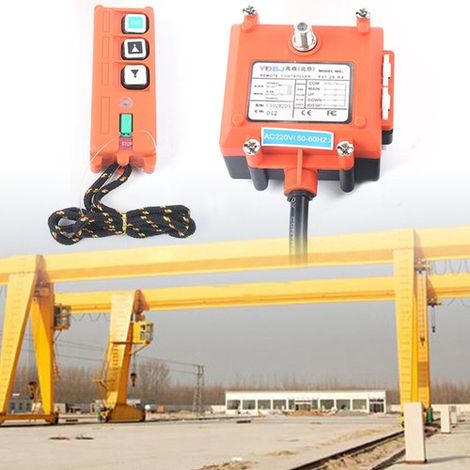 F21-2S 100M Wireless Remote Control Lift Electric Hoist Crane Winch Industrial (1/5)
