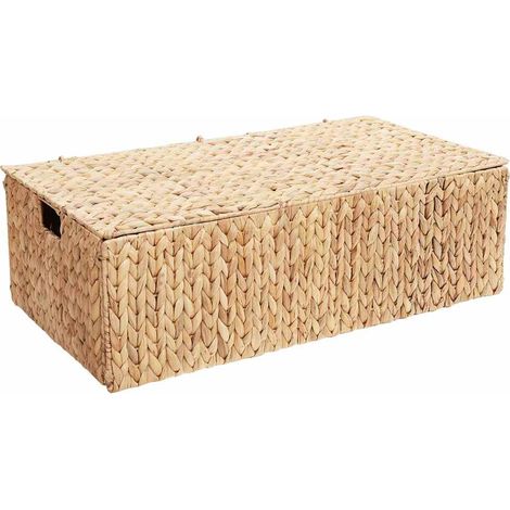 Scatola di Stoccaggio Naturale 60 x 38 x 20 cm Giacinto d'acqua vidaXL (1/5)