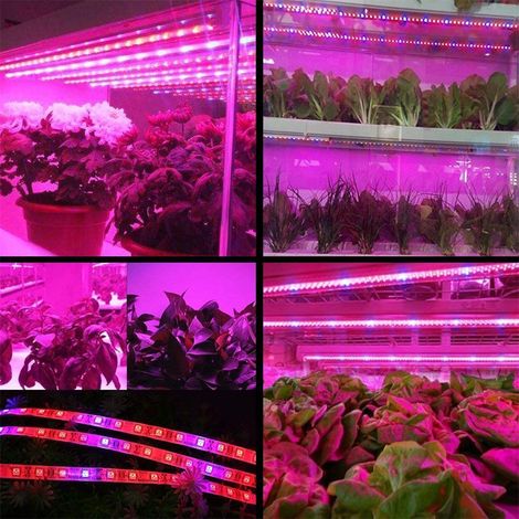 LED-Pflanzenwachstumslichtkette 5050 SMD LED-Licht Wasserdichte Pflanzenleuchte für Gewächshäuser (1/5)