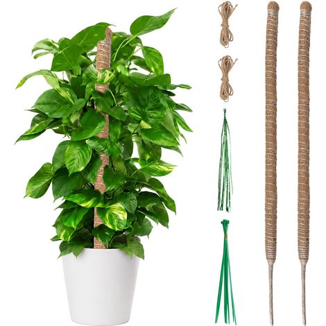 soportes de fibra de coco para plantas trepadoras de 60 cm, flexibles y maleables, con cuerda y ataduras para Monstera, Pothos y Philodendron. (1/5)
