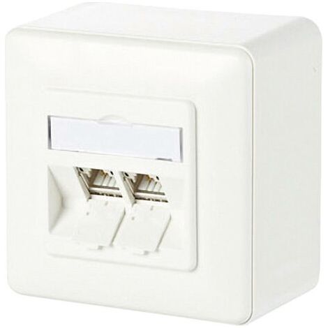 BTR C6AMODUL 2 PORT 180° MODUL AP, REINWEIß (1/3)