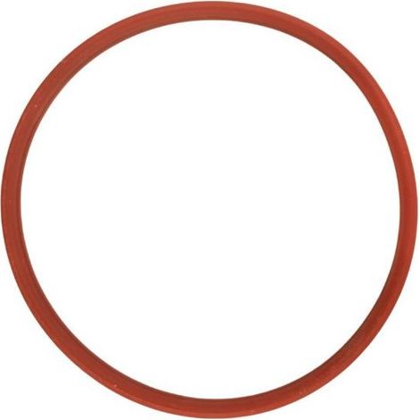 Ersatzteil Dichtungsring UVC Klärer Druckteichfilter CPF 2500-15000 Filter 75mm