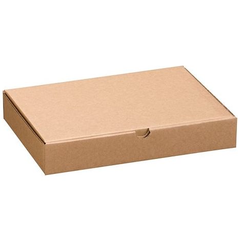 Boîte postale extra plate format A4 - 31 x 22 x 5 cm - Lot de 50
