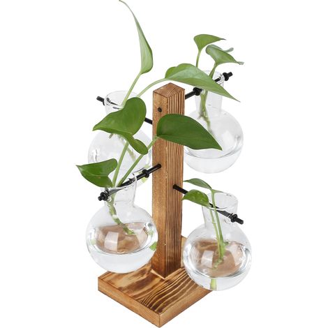 Hydroponische Vase aus Klarglas, kreativer Holzständer, moderne europäische Wohnzimmertischdekoration, Designer-Dekorationsstück. (1/5)