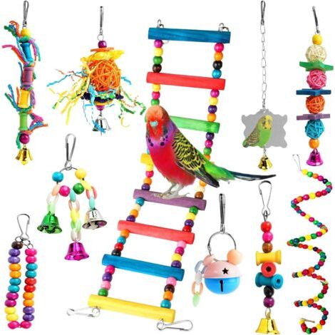 Lot de 10 jouets à mâcher pour oiseaux, jouets pour perroquets, jouets de cage pour perruches et coqs