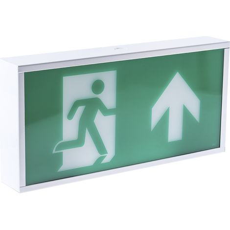 Éclairage de sécurité RS PRO IP20 à LED, luminosité 120 lm, autonomie 3h ( Prix pour 1 ) (1/3)