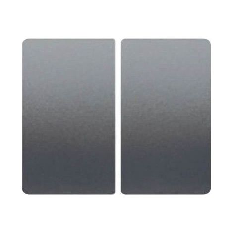 Doppelschlüsselschalter oder Schalter STEEL NEPTUNO BJC IRIS 18709-AN