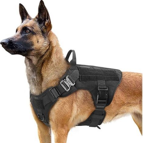 Bardusch-Rabbitgoo Hundegeschirr, taktisches Hundegeschirr – verstellbar, robust für Wandern und Jagen – Schwarz – Größe L (1/4)