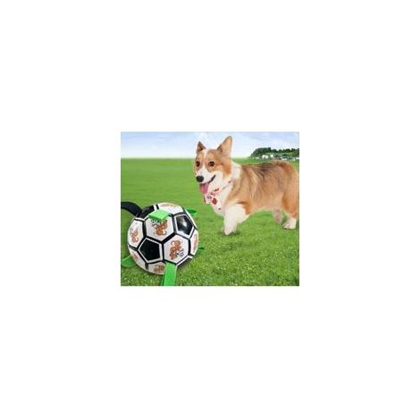 Unzerstörbarer Hundeball, interaktiver Hundeball für drinnen und draußen, mit Luftpumpe, (schwarze Ausführung) grünes Cartoon-Motiv (1/5)