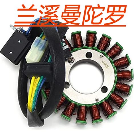 Bobines de stator de moto 0452449 et 0454228 pour Polaris Phoenix 200 (1/4)