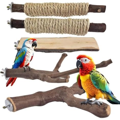 Lot de 5 perchoirs en bois pour cages à oiseaux, aire de jeux pour (1/5)
