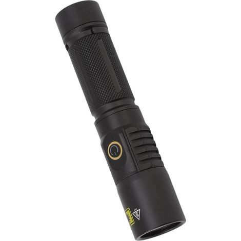 Lampe torche UV portable 365 nm à LED, lumière noire, pour la détection d'urine d'animaux domestiques, résine minérale solidifiée, scorpion (1/5)
