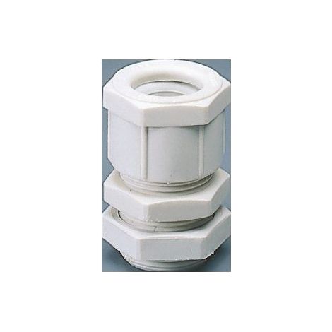Presascavo in nylon Passo pg13,5 Grigio ral 7035 IP66