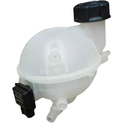 Réservoir d'antigel auxiliaire pour moteur 307-- (1/5)