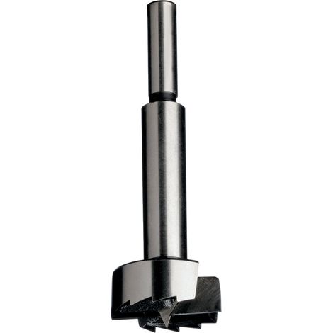 537.550.31 PUNTA TIPO FORSTNER -SP-Z2+2R S=10X30 D=55X90 DX