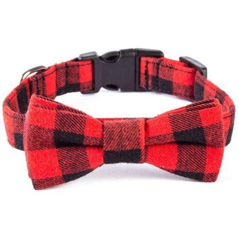 BUNTHAUS Collier pour chien rouge et noir - Taille M (2,5 x 50 cm) - Design élégant, boucle métal, pour tous les jours (1/4)