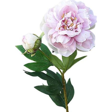 Fleur artificielle 1 pièce réaliste, facile d'entretien, 2 têtes, pivoine artificielle, ne se décolore pasrose violet (1/5)