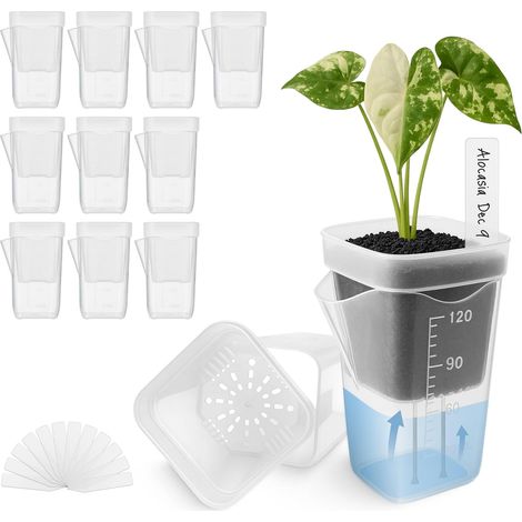 Set di 12 mini vasi autoirriganti per piante da interno, piccoli vasi trasparenti in plastica, ideali per violette e talee, dimensioni ridotte 55,59,5 cm. (1/5)