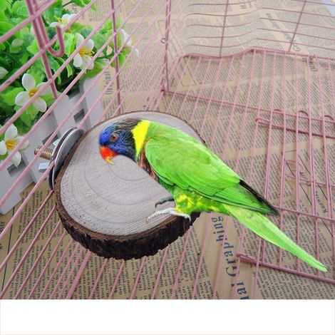 Accessoires pour cage à oiseaux : plateforme de saut ronde pour perroquet, écureuil et hamster. Jouet à mâcher. (1/2)