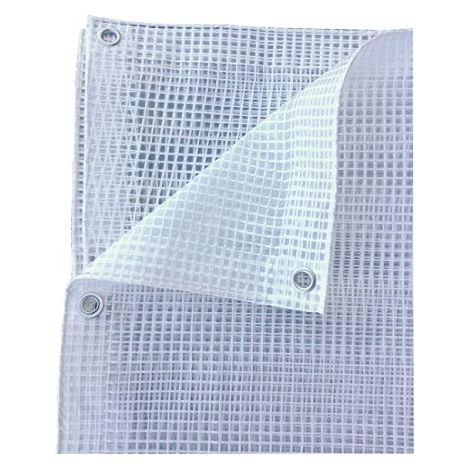Telo Retinato Trasparente 350x200 cm Occhiellato PE Copertura Esterni (1/3)