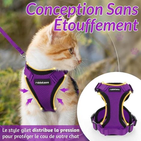 Rabbitgoo cat harness, size S, purple, adjustable and anti-escape, breathable vest with reflective strips and leash. (1/5)