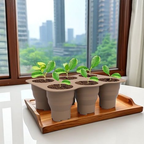Plateau de semis avec couvercle, 6 alvéoles - Conception en silicone - Pour plantes d'intérieur - Culture de légumes et de fleurs - Kit de démarrage pour semis - Facile à utiliser (1/5)