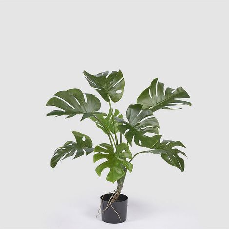 EDG Enzo De Gasperi Monstera Pianta Artificiale con Vaso da Interno ed Esterno H100 cm (1/4)