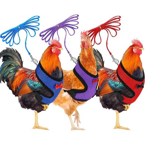 3 Pieces Adjustable Chicken Harness And Leash For Hen Roosters Comfortable Hen Pet Vest With Matching Belt Breathable Chicken Training Harness For (1/5)