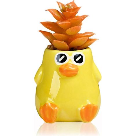 Pot de fleurs canard jaune en céramique idée cadeau pour plantes grasses d'intérieur bureau ou jardin (1/5)