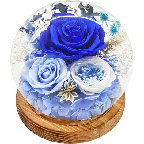 Composition florale éternelle sous globe LED, roses stabilisées, présentoir élégant pour occasions spéciales