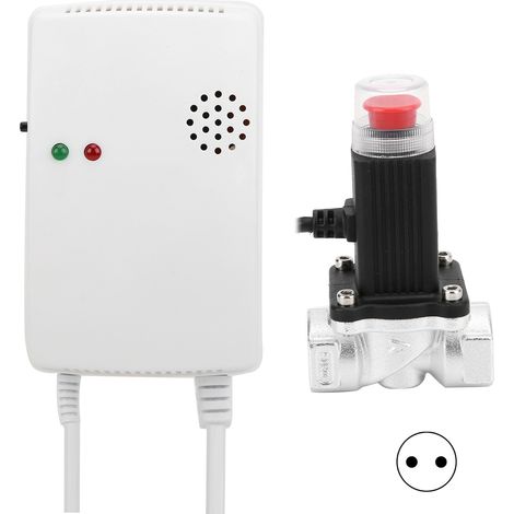 Détecteur de gaz fuel, charbon et gaz naturel mural indépendant avec vanne solénoïde AC110-220V (prise UE) pour maison (1/5)