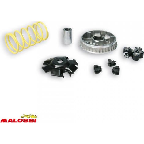 malossi variator für roller yamaha 125 cygnus x nach 2004 5112701 (1/2)