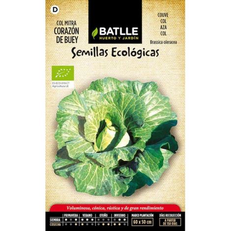 Chou Coeur de Bœuf - ECO