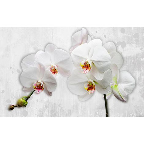 Papier peint panoramique - Fleurs - 130 cm x 82 cm (1/2)