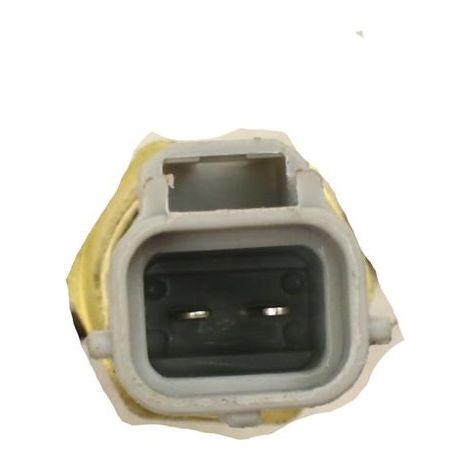 Sensore rapido di temperatura dell'acqua FT80158 (1/3)