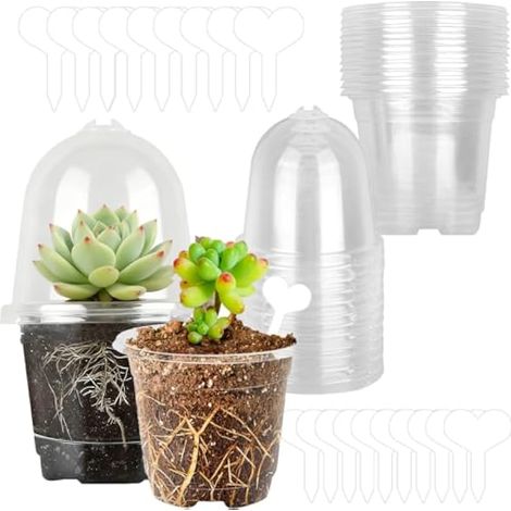 Pépinière Transparents, 20 Pièces Godet Semis Pot Transparent Plante, Réutilisable Pots de Fleurs en Plastique et étiquettes, Pépinière Pots Transparent avec Humidité dôme, pour Plantes (1/4)