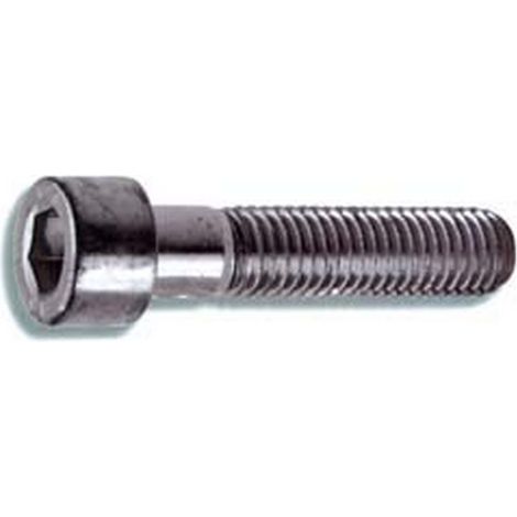200PZ VITI METALLO 8.8 TESTA CILINDRICA CAVA ESAGONA PARZIALMENTE FILETTATE mm6x5